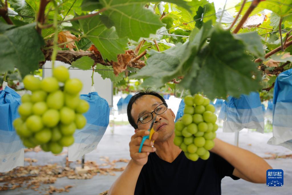 云顶娱乐官方下载1.8.0